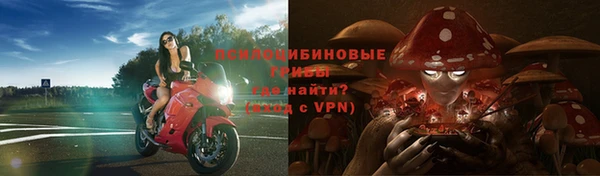 MESCALINE Каменка