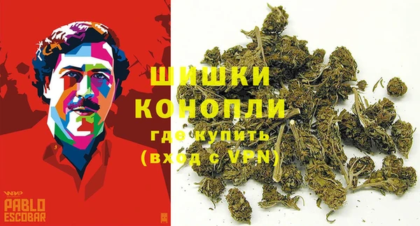 ГАЛЛЮЦИНОГЕННЫЕ ГРИБЫ Карпинск