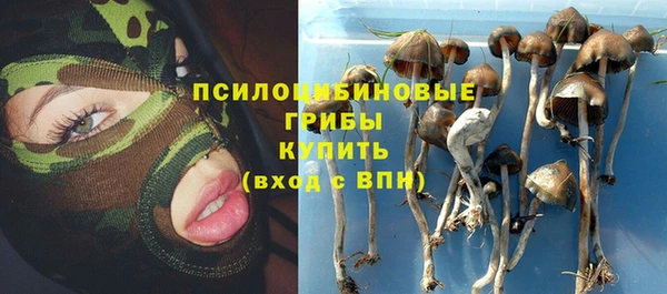 MESCALINE Каменка