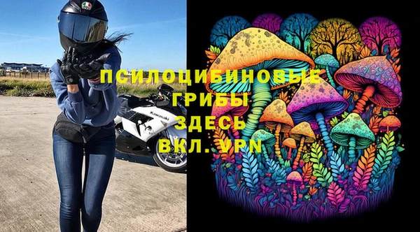 тгк Каменск-Шахтинский